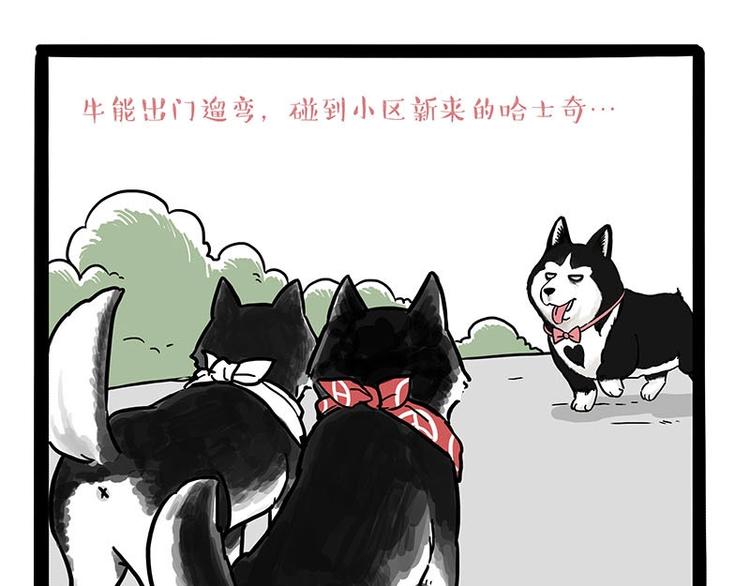 🍘吾皇巴扎黑 第175话 狗中王者 第1页