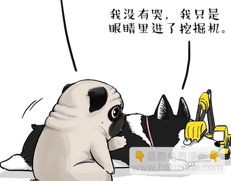 🍘吾皇巴扎黑 第175话 狗中王者 第15页
