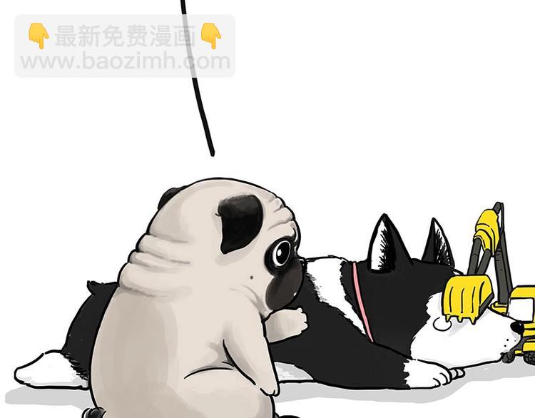 🍘吾皇巴扎黑 第175话 狗中王者 第17页