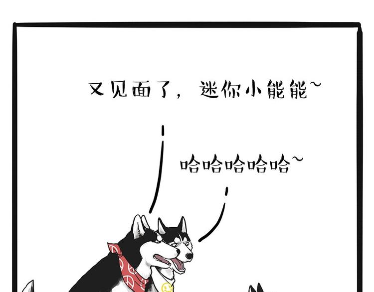 🍘吾皇巴扎黑 第175话 狗中王者 第21页