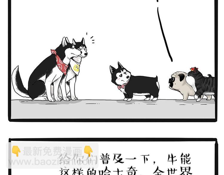 🍘吾皇巴扎黑 第175话 狗中王者 第23页