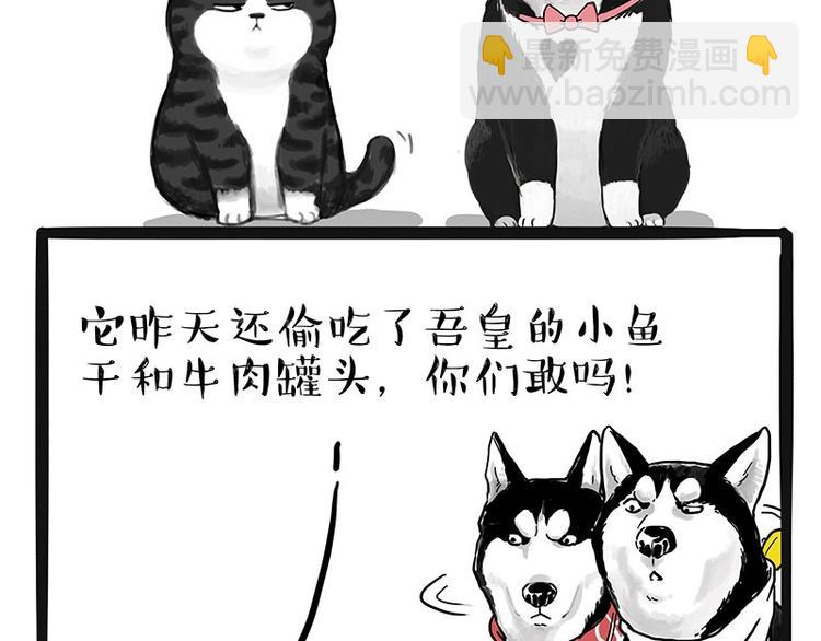 🍘吾皇巴扎黑 第175话 狗中王者 第32页