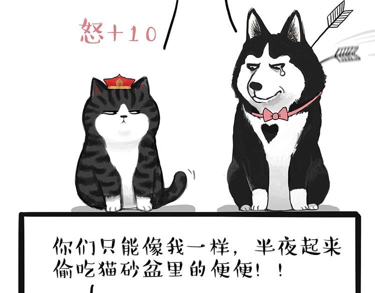 🍘吾皇巴扎黑 第175话 狗中王者 第34页