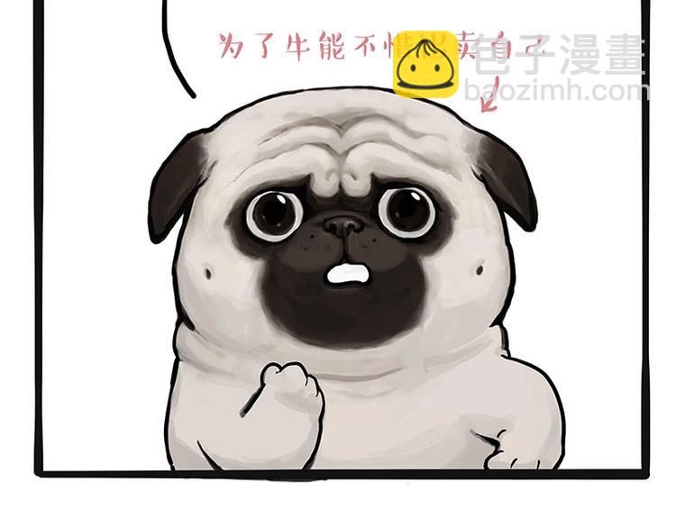 🍘吾皇巴扎黑 第175话 狗中王者 第35页