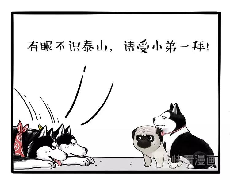 🍘吾皇巴扎黑 第175话 狗中王者 第40页