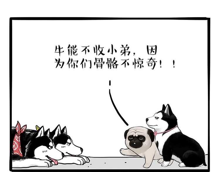 🍘吾皇巴扎黑 第175话 狗中王者 第41页