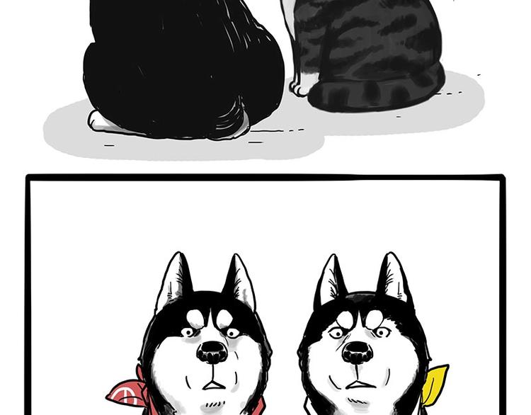🍘吾皇巴扎黑 第175话 狗中王者 第45页