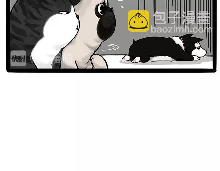 🍘吾皇巴扎黑 第175话 狗中王者 第9页