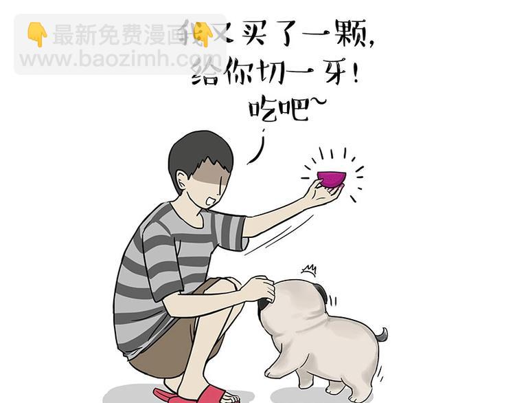 🍘吾皇巴扎黑 第187话 巴扎黑终究是错付了 第28页