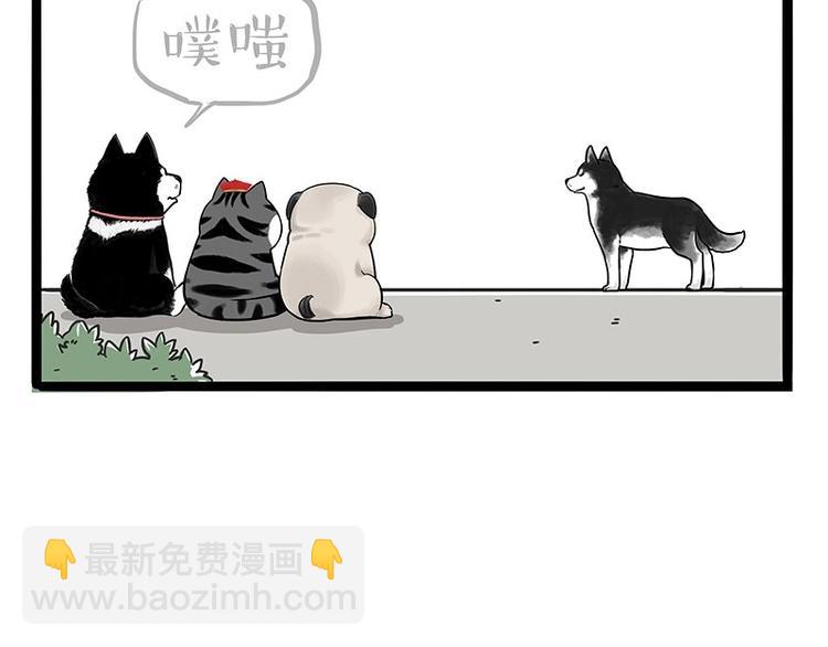 🍘吾皇巴扎黑 第187话 巴扎黑终究是错付了 第34页