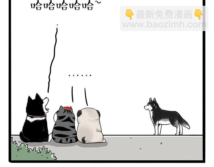 🍘吾皇巴扎黑 第187话 巴扎黑终究是错付了 第39页