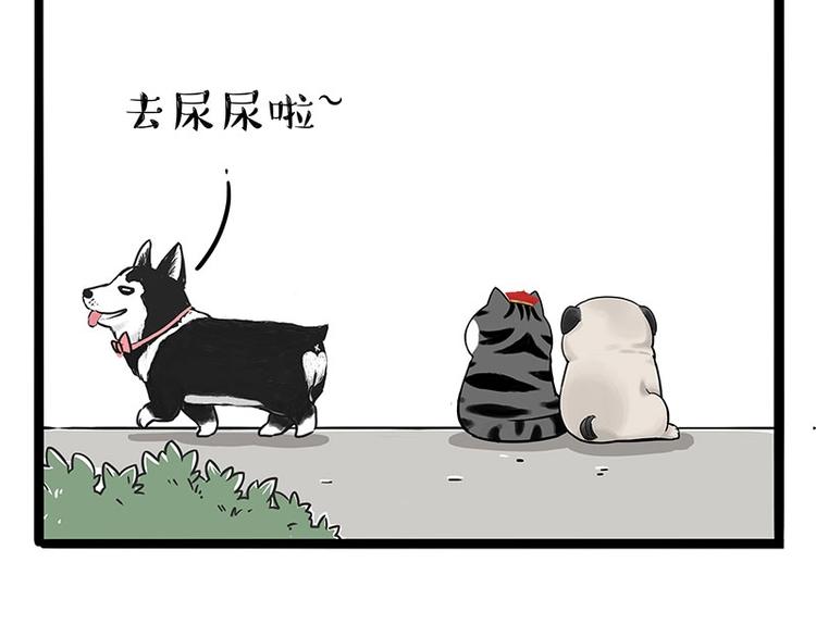 🍘吾皇巴扎黑 第187话 巴扎黑终究是错付了 第42页