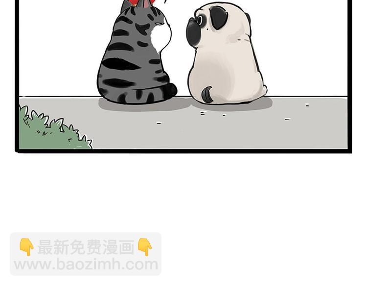 🍘吾皇巴扎黑 第187话 巴扎黑终究是错付了 第44页