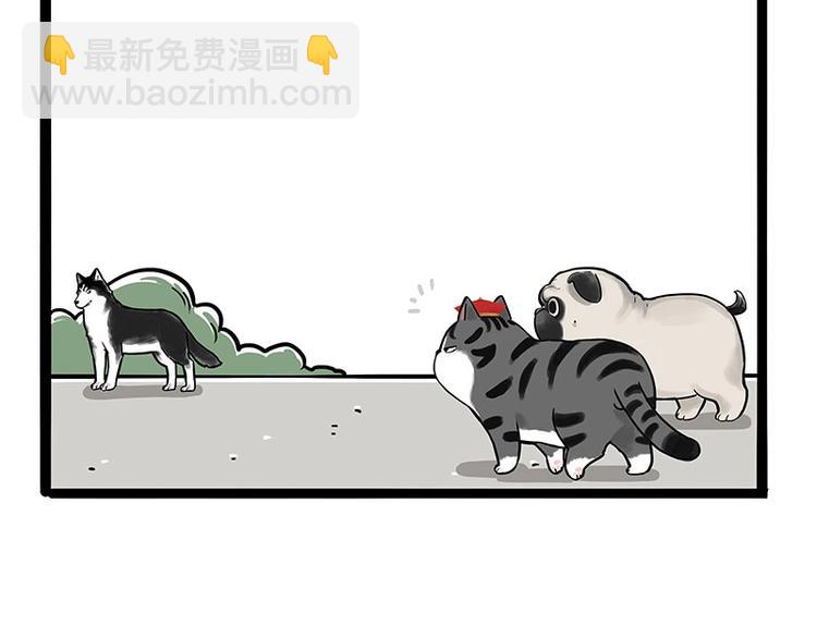 🍘吾皇巴扎黑 第187话 巴扎黑终究是错付了 第49页