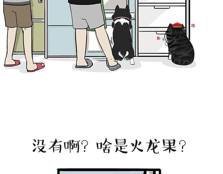 🍘吾皇巴扎黑 第187话 巴扎黑终究是错付了 第5页