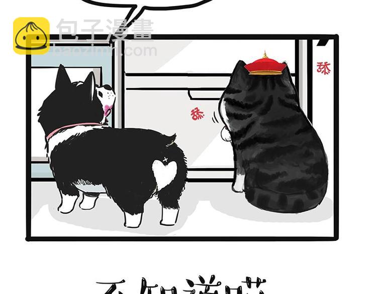 🍘吾皇巴扎黑 第187话 巴扎黑终究是错付了 第8页