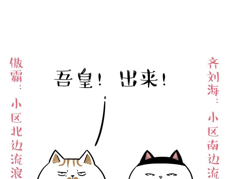 🍘吾皇巴扎黑 第189话 就你胖，还能浪 第1页