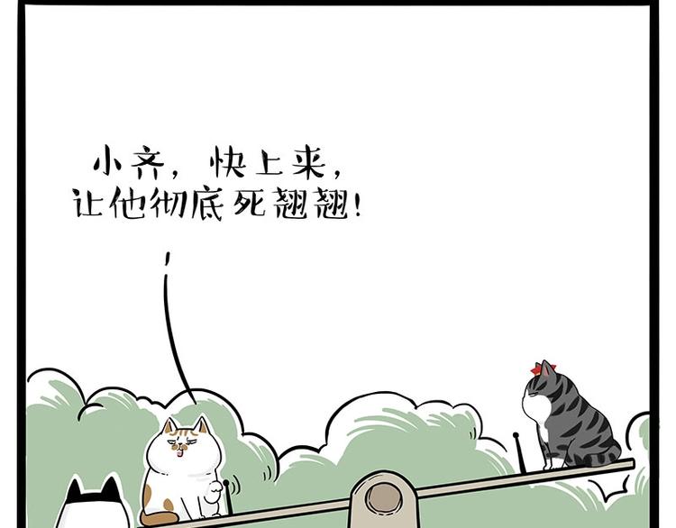🍘吾皇巴扎黑 第189话 就你胖，还能浪 第20页