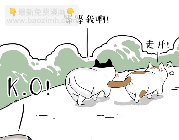 🍘吾皇巴扎黑 第189话 就你胖，还能浪 第40页