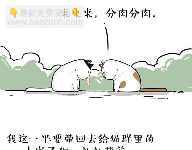 🍘吾皇巴扎黑 第189话 就你胖，还能浪 第45页