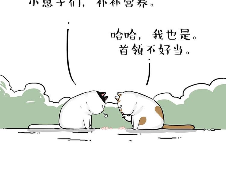 🍘吾皇巴扎黑 第189话 就你胖，还能浪 第46页