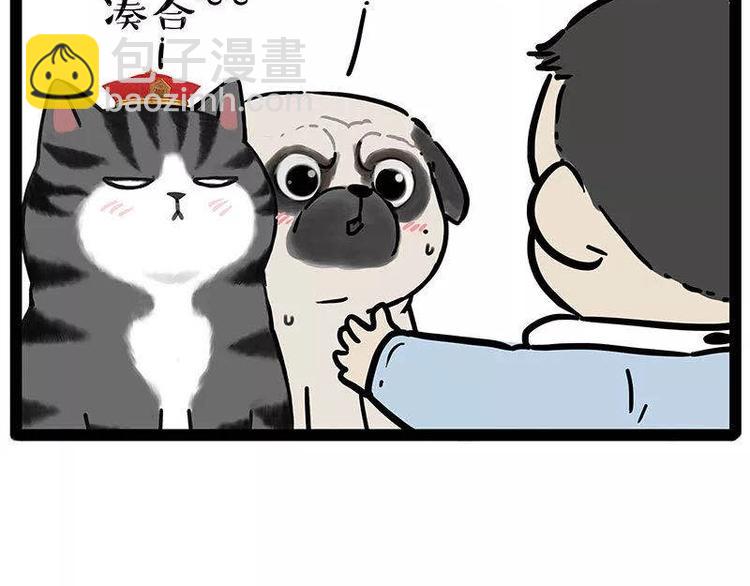 🍘吾皇巴扎黑 第191话 猫猫无证看孩子？！ 第24页