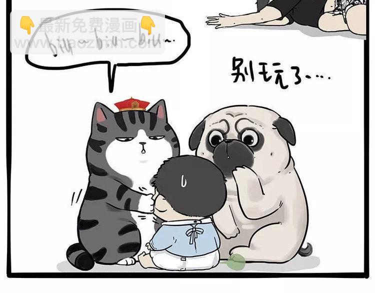 🍘吾皇巴扎黑 第191话 猫猫无证看孩子？！ 第31页