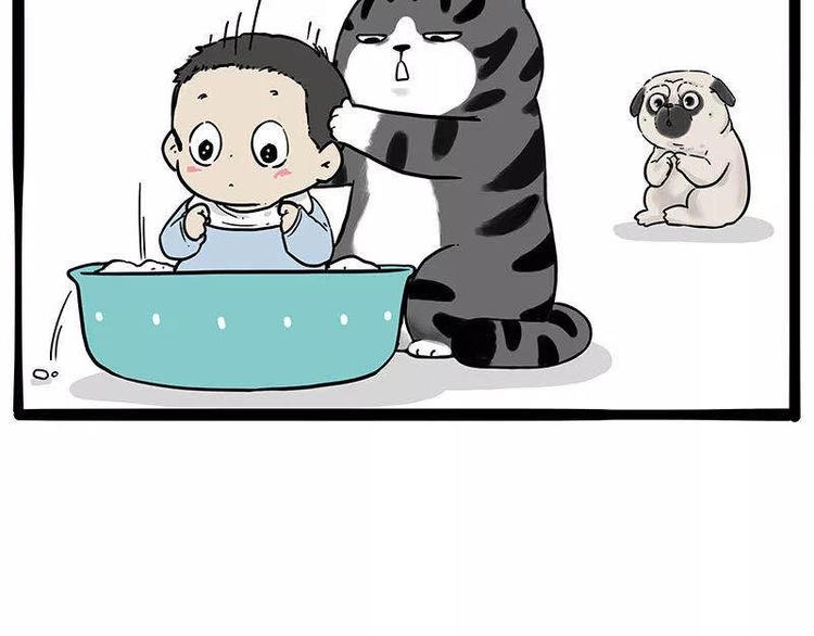 🍘吾皇巴扎黑 第191话 猫猫无证看孩子？！ 第34页