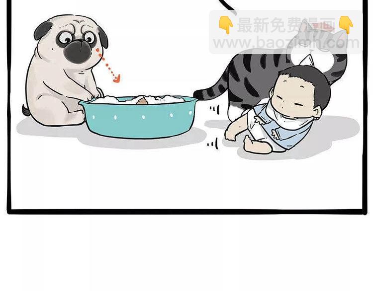 🍘吾皇巴扎黑 第191话 猫猫无证看孩子？！ 第41页