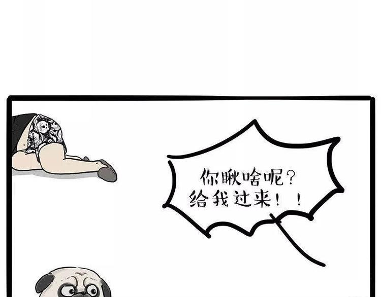 🍘吾皇巴扎黑 第191话 猫猫无证看孩子？！ 第42页