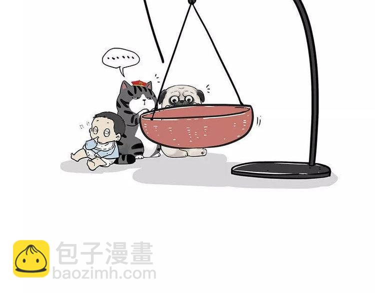 🍘吾皇巴扎黑 第191话 猫猫无证看孩子？！ 第44页