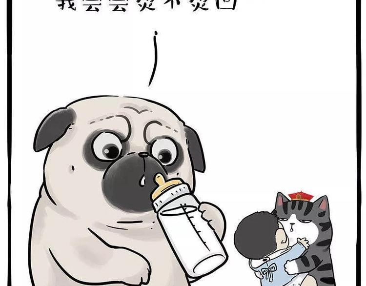 🍘吾皇巴扎黑 第191话 猫猫无证看孩子？！ 第49页