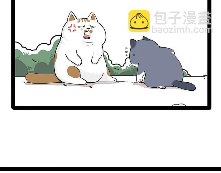 🍘吾皇巴扎黑 第195话 人类，尝尝我的父爱 第3页