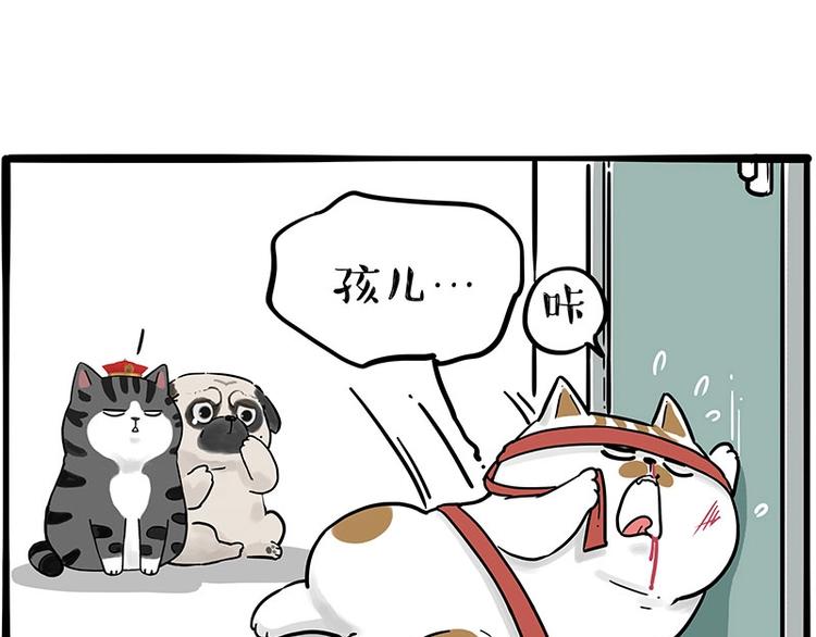 🍘吾皇巴扎黑 第195话 人类，尝尝我的父爱 第43页