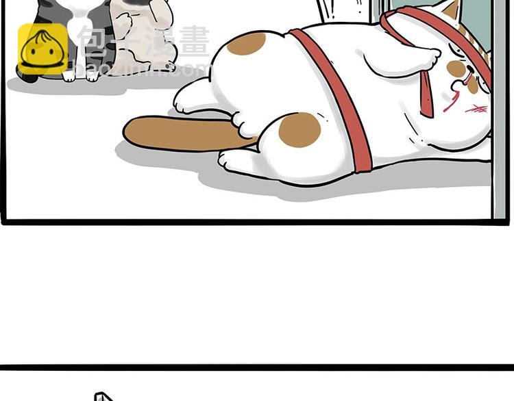 🍘吾皇巴扎黑 第195话 人类，尝尝我的父爱 第45页
