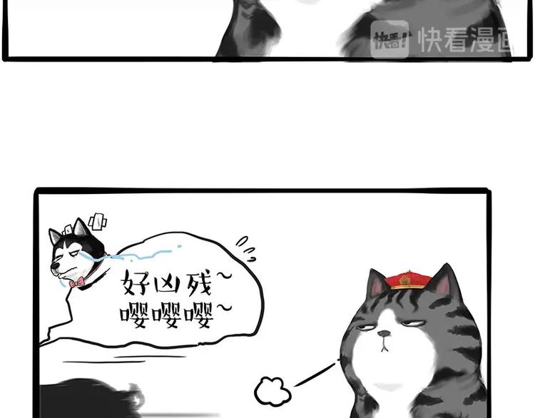 🍘吾皇巴扎黑 第197话 猫怼狗 第10页