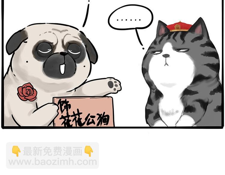 🍘吾皇巴扎黑 第197话 猫怼狗 第12页