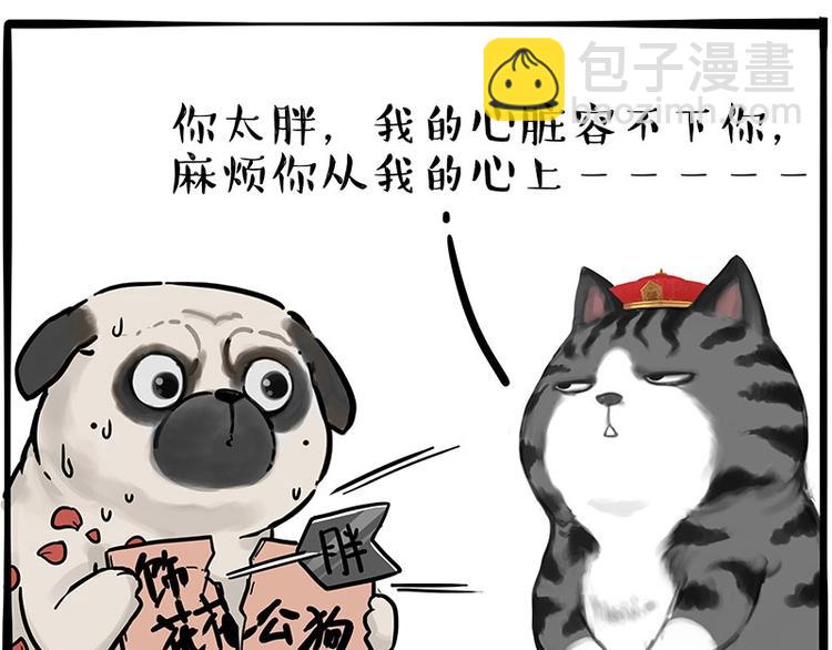 🍘吾皇巴扎黑 第197话 猫怼狗 第13页