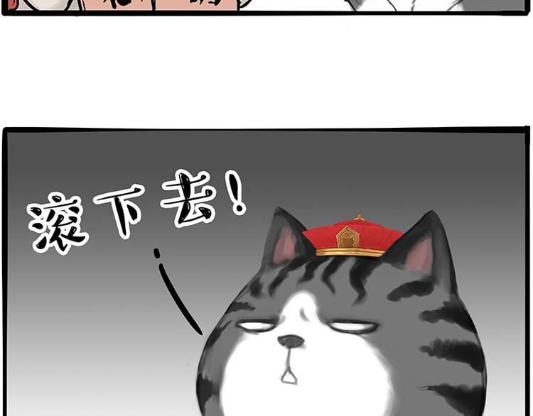 🍘吾皇巴扎黑 第197话 猫怼狗 第14页
