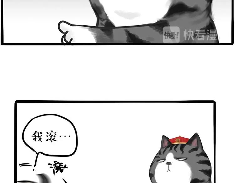 🍘吾皇巴扎黑 第197话 猫怼狗 第15页