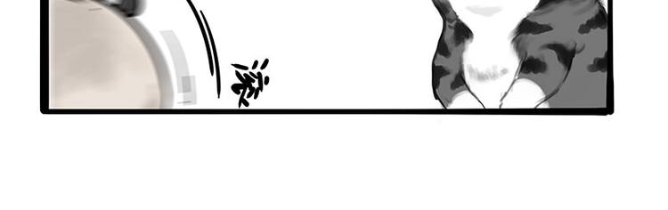 🍘吾皇巴扎黑 第197话 猫怼狗 第16页