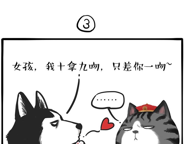 🍘吾皇巴扎黑 第197话 猫怼狗 第17页