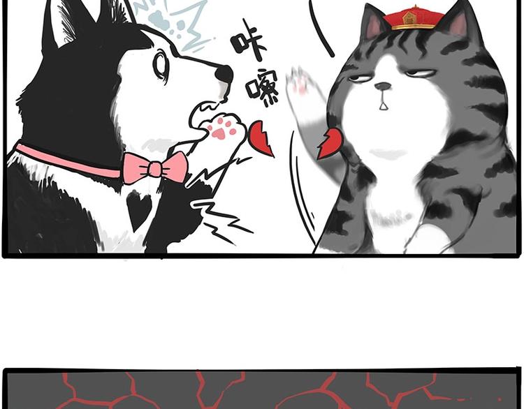 🍘吾皇巴扎黑 第197话 猫怼狗 第19页