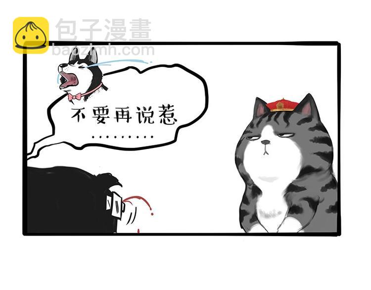 🍘吾皇巴扎黑 第197话 猫怼狗 第21页