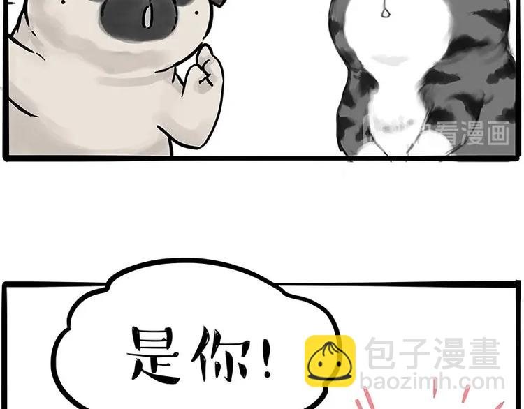 🍘吾皇巴扎黑 第197话 猫怼狗 第23页