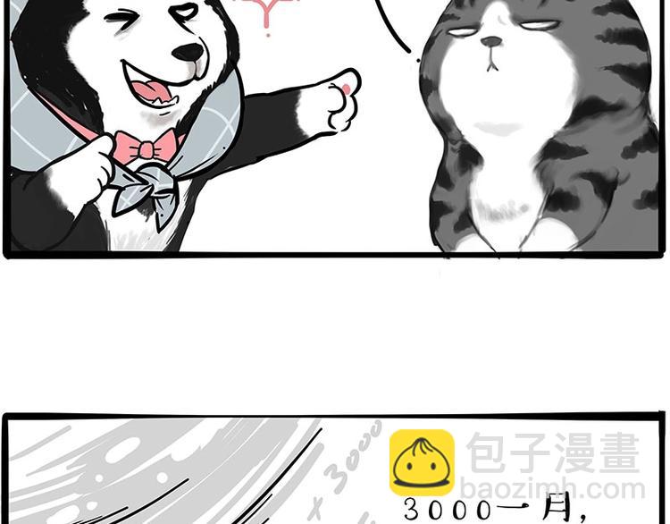 🍘吾皇巴扎黑 第197话 猫怼狗 第28页