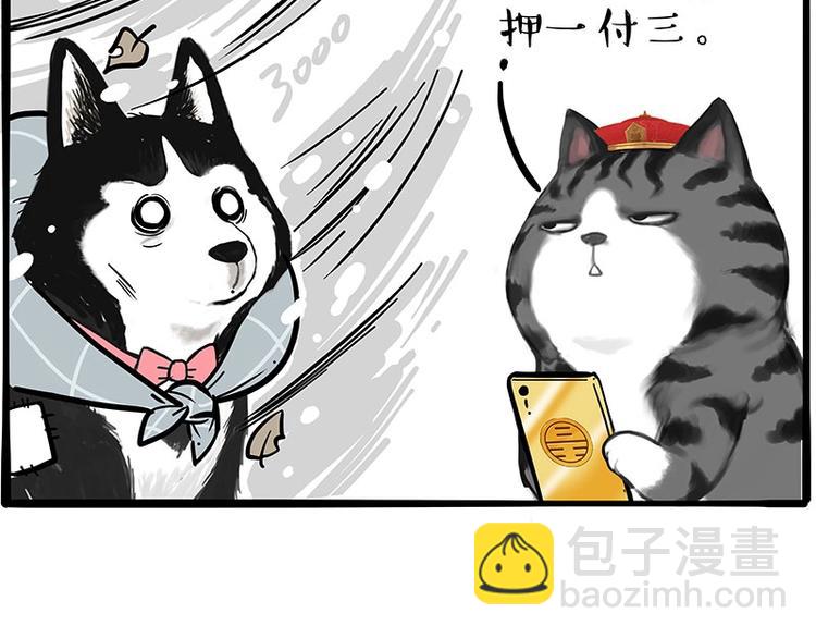 🍘吾皇巴扎黑 第197话 猫怼狗 第29页