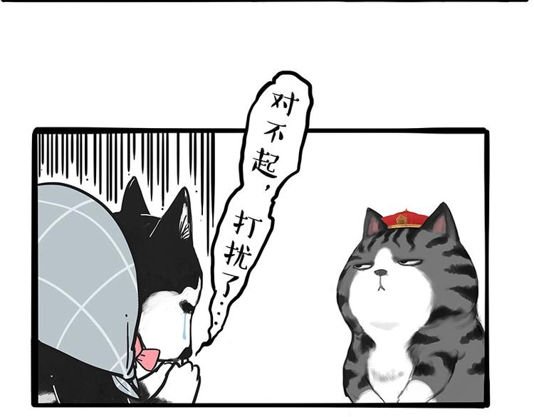 🍘吾皇巴扎黑 第197话 猫怼狗 第31页