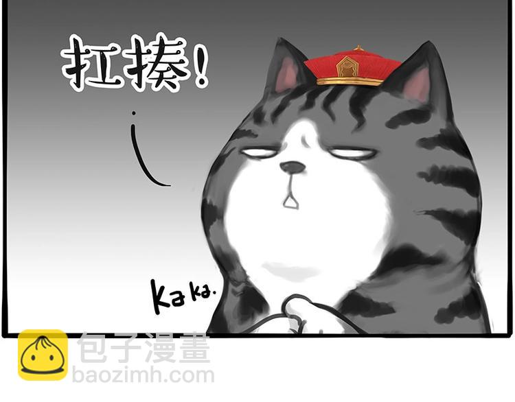 🍘吾皇巴扎黑 第197话 猫怼狗 第36页
