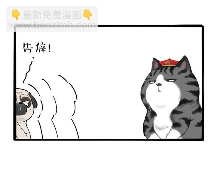 🍘吾皇巴扎黑 第197话 猫怼狗 第37页
